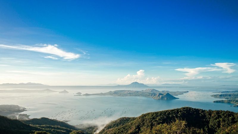 特殊僵尸与克制手段：难缠对手怎么破 示意图